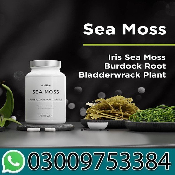 Amen Sea Moss Bladderwrack Burdock Vitamin C Aloe Vera in Pakistan