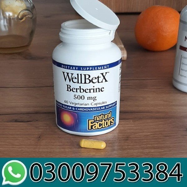 WellBetX Berberine 500mg In Pakistan
