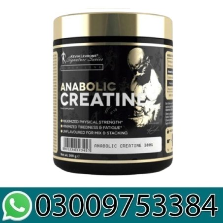 Kevin Levrone Anabolic Creatine Price In Pakistan