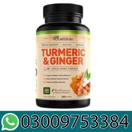 Turmeric Curcumin Supplement with Ginger Apple Cider Vinegar 120 in Pakistan