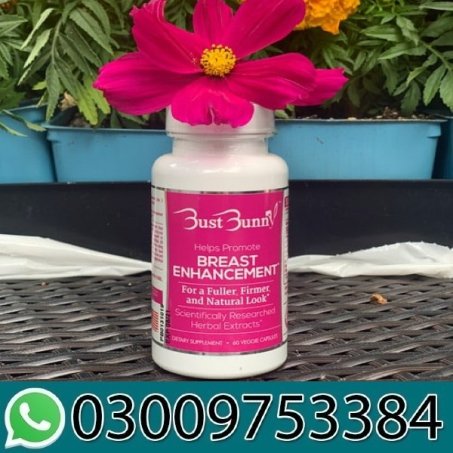 Bust Bunny Price In Pakistan