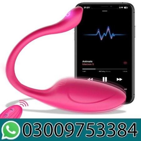 Lovense Lush 2 Remote Vibrator In Pakistan