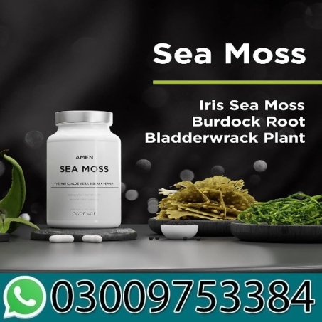 Amen Sea Moss Bladderwrack Burdock Vitamin C Aloe Vera in Pakistan