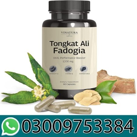 Vinatura Fadogia Agrestis 1200mg Capsules Price In Pakistan