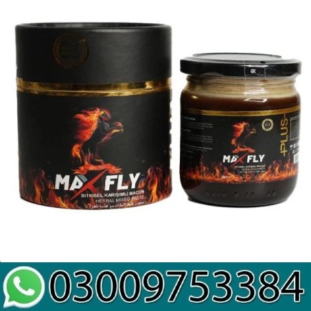 Max Fly Plus Macun Price in Pakistan